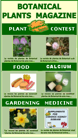 Plant Magazine of Botanical-online