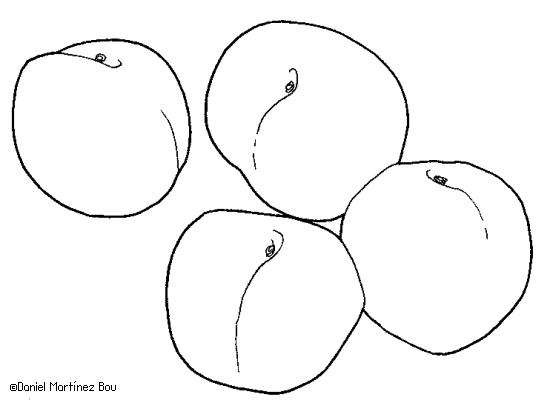 imprimir y colorear arboles para colorear 5 arboles para colorear