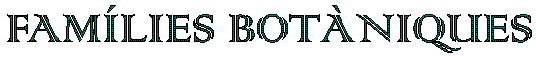 indexfondo.gif