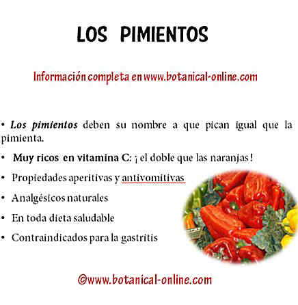 Beneficios de los pimientos