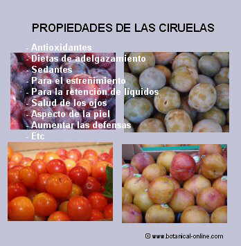 La foto de los productos adelgazantes