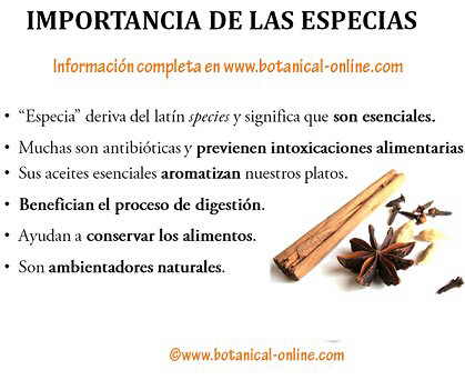 Propiedades de las especias