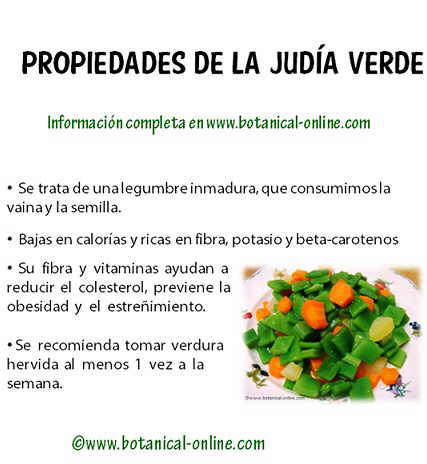 Propiedades de las judías verdes