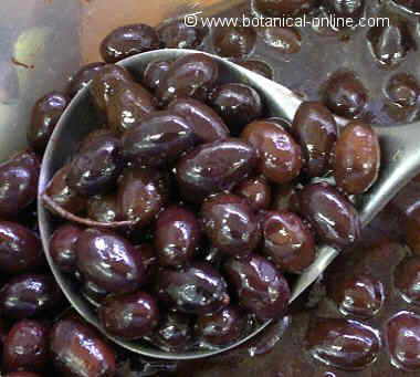 aceitunas negras