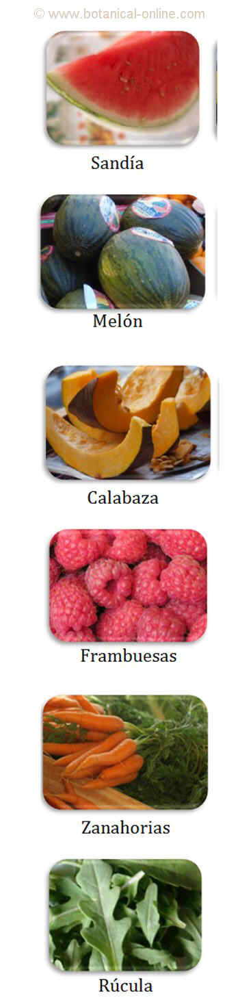 Alimentos para la piel