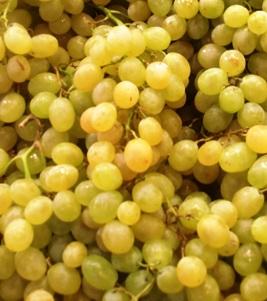 uvas