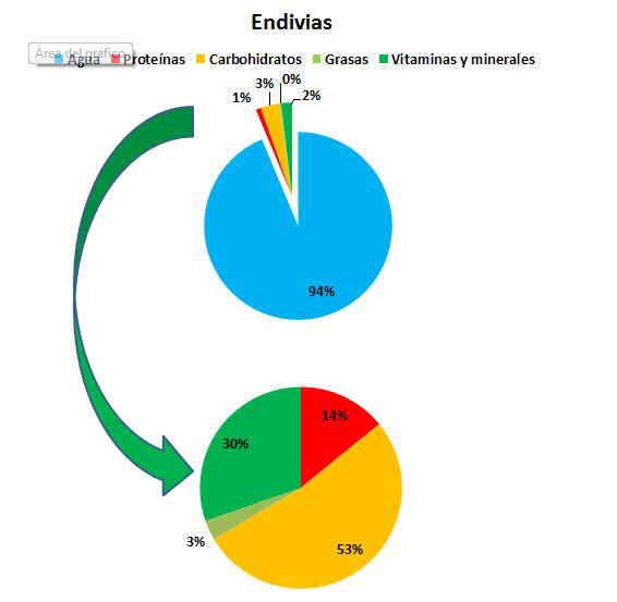 Composición endivias