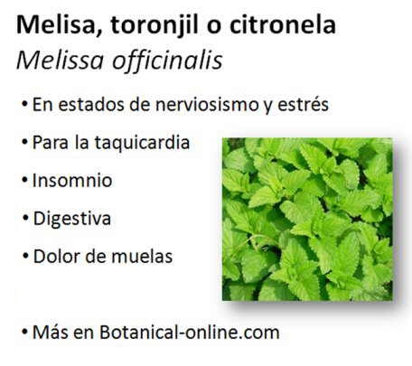 melisa