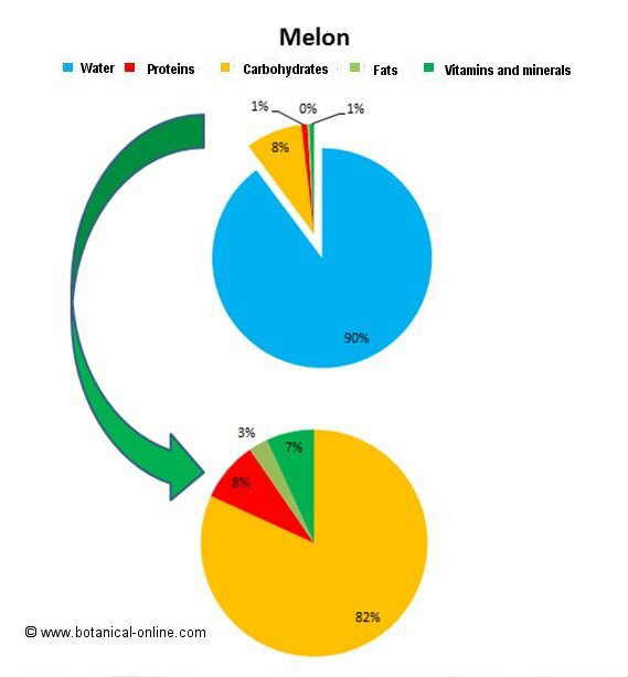 melon_composition