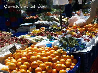 naranjas en venta ambulante