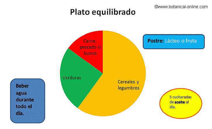 DIETA BALANCEADA PARA UN NINO dieta balanceada para un nino: