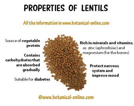 Properties of lentils