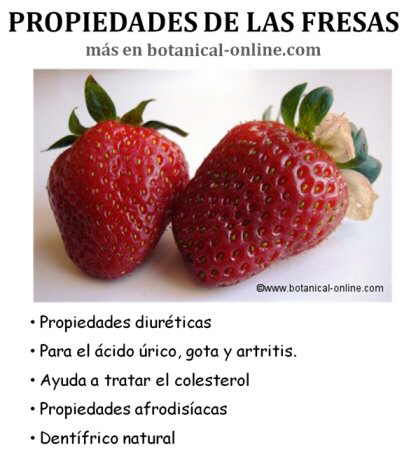 Propiedades de las fresas