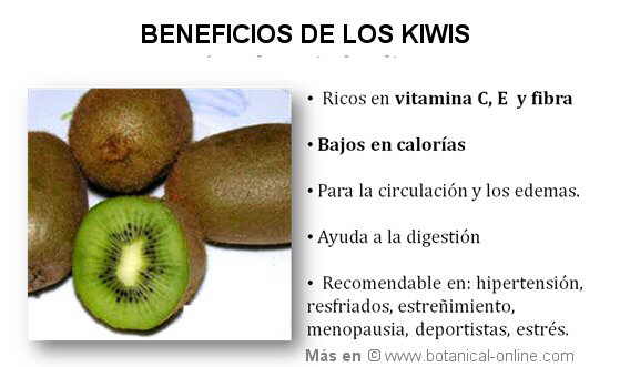 Propiedades de los kiwis
