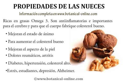 Propiedades de las nueces