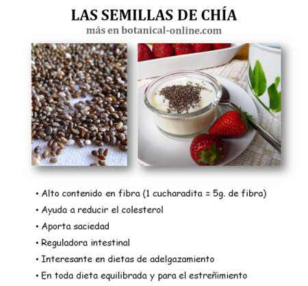 Propiedades de las semillas de chia