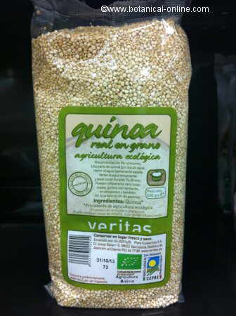 quinoa