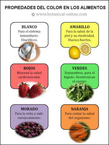 dieta detox juice plus 2017 dieta detox juice plus 2017