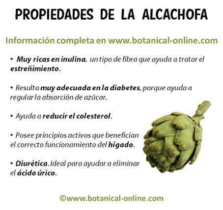 Propiedades de la alcachofa