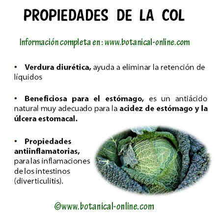 Propiedades de la col