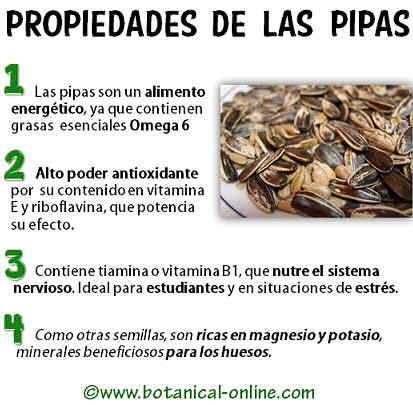 Propiedades de las pipas de girasol