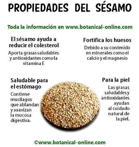 Propiedades del s�samo
