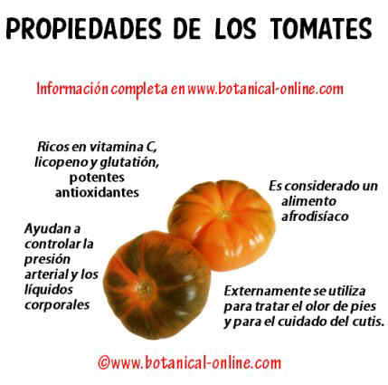 Propiedades de los tomates