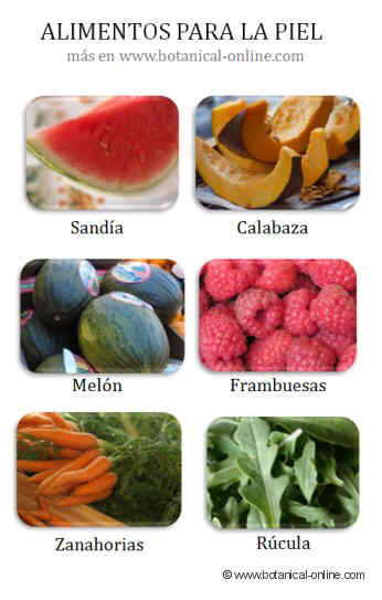 Alimentos buenos para la piel