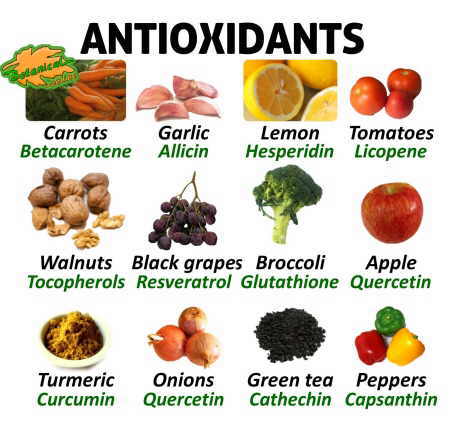 Foods High In Antioxidants Diet