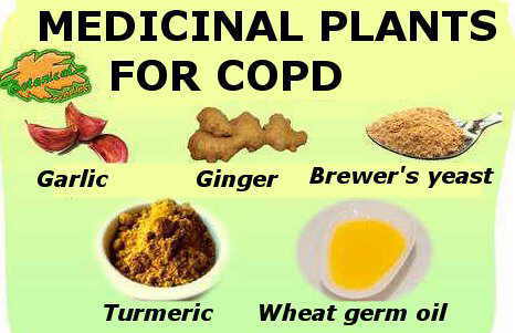 Treating copd with foods