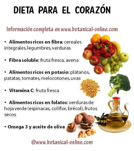 DIETA NUTRICIONALES dieta nutricionales:
