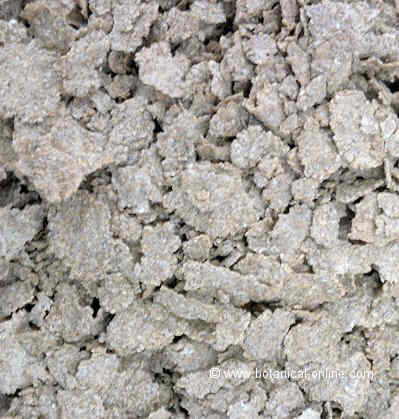 Fibra insoluble
