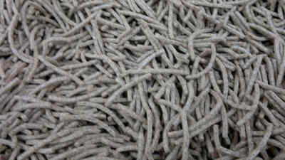 Fibra de trigo integral