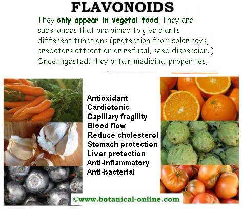 flavonoids properties
