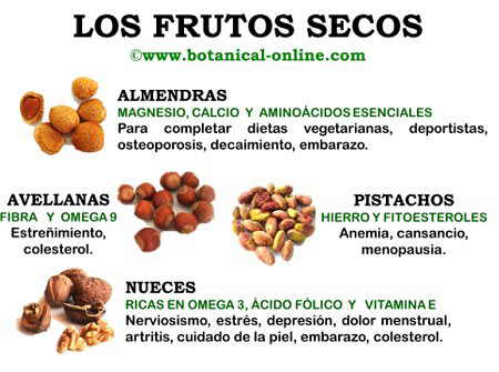 Resultado de imagen para imagenes de frutos secos