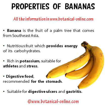 What is the nutrient content of a banana?