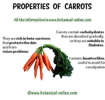 carrots