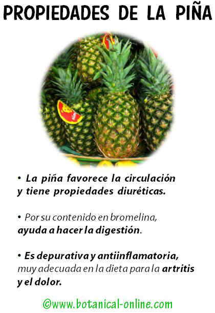 Propiedades piña