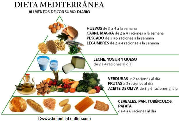 dietamediterraneapiramidealimentos2.jpeg