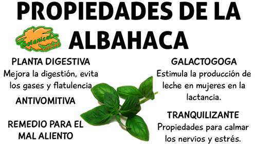 Las máscaras para los cabellos con la sal para el crecimiento de los cabello las revocaciones