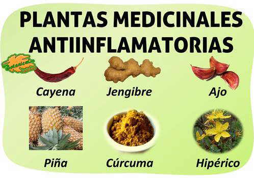 Chemerichnaya el agua del hongo de uña