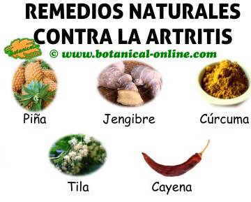 que les bueno para eliminar la grasa en el higado Que les bueno para eliminar la grasa en el higado crudos varios colores
