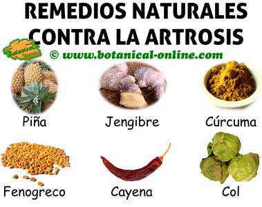 Artrosis de rodilla tratamiento natural