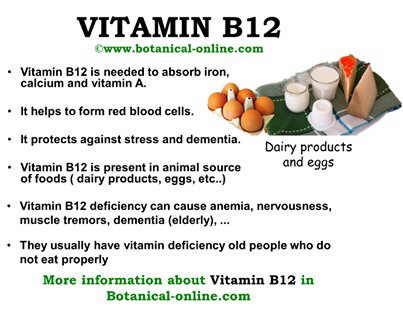 What foods are high in vitamin B12?