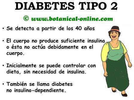 Lámina-resumen de la diabetes tipo 2 o diabetes del adulto.