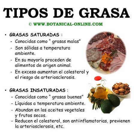 Como adelgazar las recomendaciones en una alimentación