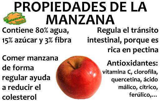 Resultado de imagen para manzana y sus vitaminas