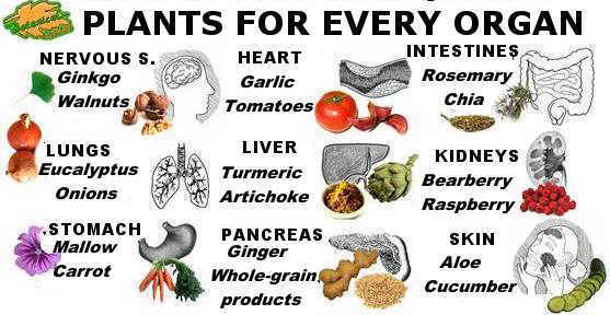 Natural Products Used In Medicine Natural Products Used In Medicine