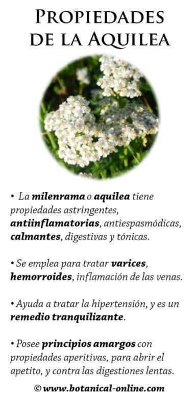 Propiedades de la milenrama