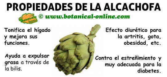 Resultado de imagen